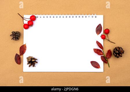 Composizione originale autunnale con piante con spazio copia. Foto Stock