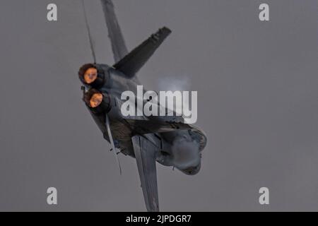 McDonnell Douglas F/A-18C Hornet dell'aeronautica svizzera Foto Stock