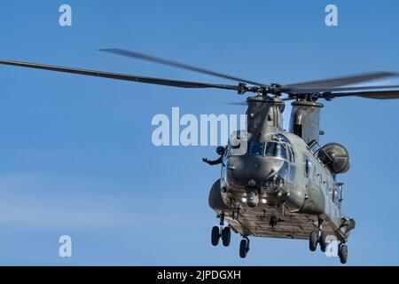Display a Chinook RAF Foto Stock