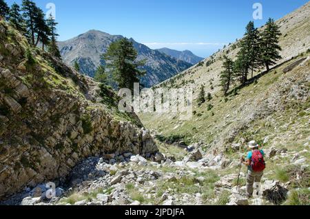 Camminando sui monti Taygetos, vicino al passo di Murgia, sotto il monte Profitis Ilias, Peloponneso meridionale, Grecia. Foto Stock