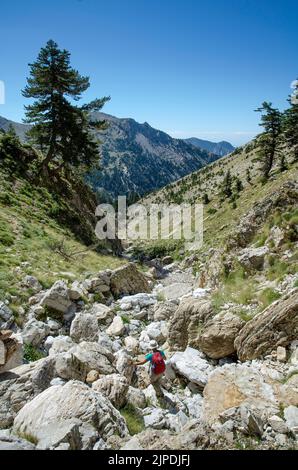 Camminando sui monti Taygetos, vicino al passo di Murgia, sotto il monte Profitis Ilias, Peloponneso meridionale, Grecia. Foto Stock