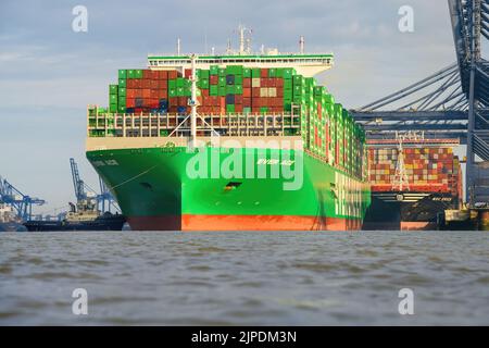 Ever Ace (Evergreen), la portaerei ultra-large del porto di Felixstowe - Settembre 2021. Foto Stock