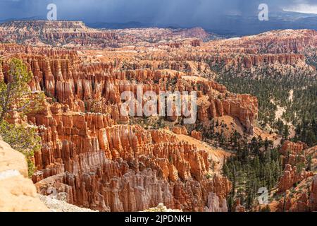 Le formazioni rocciose di Hoodoos al Bryce Canyon National Park, nello Utah sudoccidentale, Stati Uniti Foto Stock