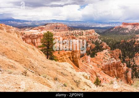 Le formazioni rocciose di Hoodoos al Bryce Canyon National Park, nello Utah sudoccidentale, Stati Uniti Foto Stock