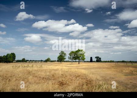 Campo da golf coperto di praterie secche e pochi alberi e mulino in disuso all'orizzonte durante l'ondata di caldo tutto sotto il cielo blu chiaro in estate a Beverley, Regno Unito. Foto Stock