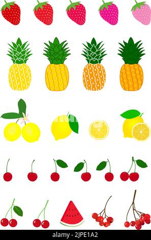 Una serie verticale di frutti vari isolati su uno sfondo bianco Illustrazione Vettoriale