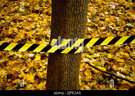 crimine, nastro di avvertimento, scena del crimine, crimini, avvertimento, nastri di avvertimento, scene di crimine Foto Stock