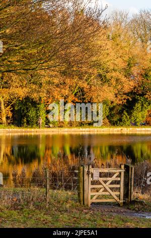 porta d'ingresso su un lago d'autunno con immagine speculare di alberi dorati riflessi nelle acque calme del lago. splendidi colori autunnali su un lago. Foto Stock