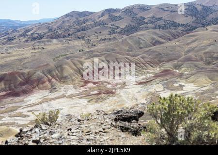 Vista dalla cima del Carroll Rim Trail a Painted Hills al John Day Fossil Beds National Monument nell'Oregon orientale, USA. Foto Stock