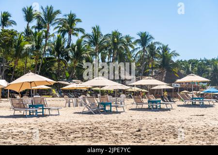 Sedie a sdraio e ombrelloni su una spiaggia a Sayulita, Messico Foto Stock