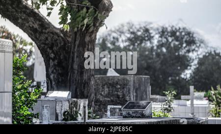 Foto belle e drammatiche del cimitero della Liberia a Guanacaste, Costa Rica. Foto Stock