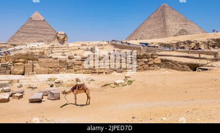 Giza, Egitto; 18 agosto 2022 - una vista della sfinge e delle piramidi di Cheope e Chefren Foto Stock