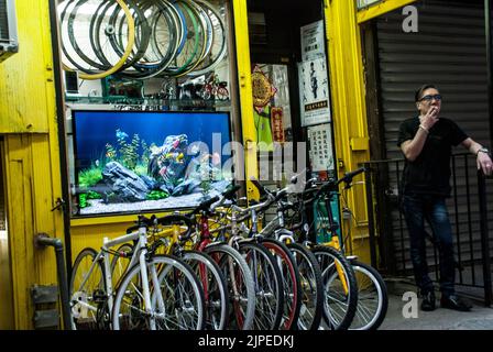 Negozio di biciclette New Bo Bo con un acquario nella finestra, Elizabeth Street, Little Italy, New York City, NY, STATI UNITI Foto Stock