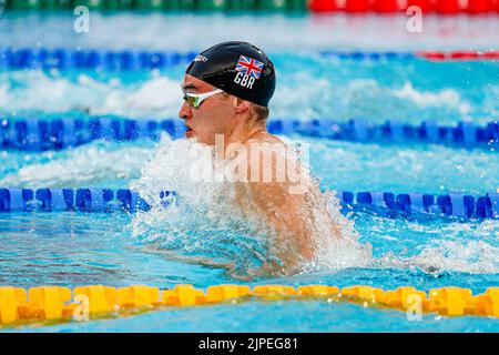 Roma, Italia. 17th ago, 2022. ROMA, ITALIA - 17 AGOSTO: James Wilby d'Inghilterra durante il medley maschile 4x 100m all'European Aquatics Roma 2022 allo Stadio del Nuoto il 17 agosto 2022 a Roma (Foto di Nikola Krstic/BSR Agency) Credit: Orange Pics BV/Alamy Live News Foto Stock