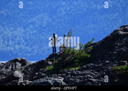 Beluga Point, Alaska, Stati Uniti. 27th luglio, 2022. Beluga Point è un popolare punto di osservazione per i turisti, a sud di Anchorage sulla strada tra Anchorage e Seward, Mercoledì 27 luglio 2022. (Credit Image: © Mark Hertzberg/ZUMA Press Wire) Foto Stock