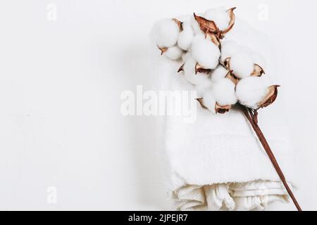 Asciugamano di cotone e ramo di cotone. Tessuto ecologico naturale Foto Stock