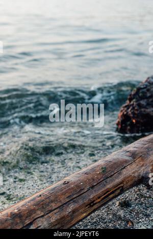 driftwood, accedi alla spiaggia di Seattle Foto Stock