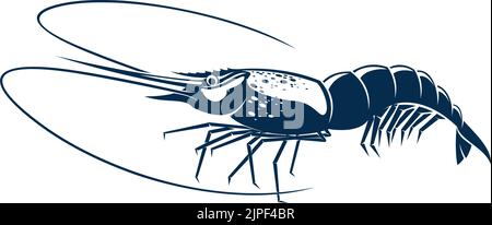 Crostacei isolati di crostacei di gamberi. Gamberi vettoriali, frutti di mare, animali marini subacquei con lunghi whiskers. Serrato di Palaemon o Crangon crangon, spuntino antipasto, icona blu di gamberi di mare tigre Illustrazione Vettoriale