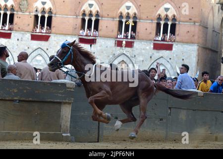 I fantini si sfidano alla storica corsa di cavalli Palio di Siena 2022 il 17 agosto 2022 a Siena Foto Stock