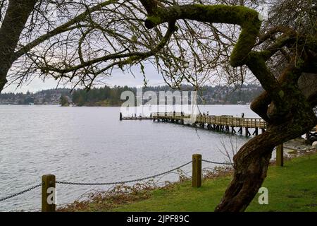 Parco regionale di Belcarra, molo BC Canada. Il molo di legno attraverso gli alberi nel Parco Regionale di Belcarra sulla riva del Burrard Inlet. Foto Stock