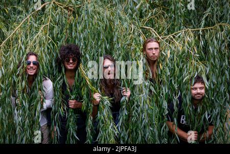 Cinque uomini poke la loro testa attraverso piangendo salice albero rami tirando facce divertenti. Scatto fotografico rock band Foto Stock