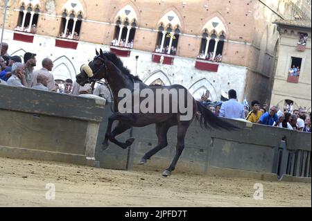 Siena, Italia. 17th agosto, 2022. I fantini si sfidano alla storica corsa di cavalli Palio di Siena 2022 di mercoledì 17 agosto 2022. Foto di Rocco Spaziani/UPI Credit: UPI/Alamy Live News Foto Stock