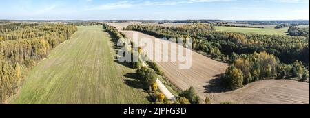 vista panoramica aerea di una strada di campagna diritta tra i campi agricoli in una giornata di sole estate Foto Stock