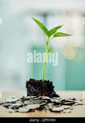 Gli investimenti e lo sviluppo in materia di ambiente vanno a vantaggio di un mercato e di imprese rispettosi dell'ambiente. Le monete e la pianta verde mostrano la crescita di soldi, finanziario Foto Stock