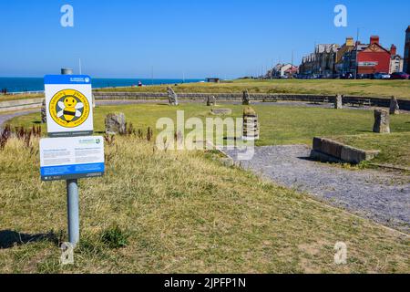 Rhyl, UK: 11 agosto 2022: Un segno fornisce informazioni sulla creazione di un prato di fiori selvatici adiacente alle pietre erette di Eisteddfod Foto Stock