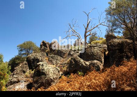 Il Monte Diogenes (roccia sospesa) offre molte viste rocciose, della montagna e della campagna circostante. Le rocce sono trachite, una specie di lava. Foto Stock