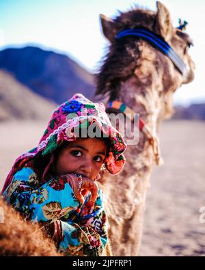 Bambina beduina egiziana con il suo cammello Foto Stock