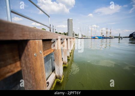 Berlino, Germania. 17th ago, 2022. La piattaforma galleggiante senza barriere dell'associazione 'Sablerhaus am Wannsee', che consente ai marinai di salire a bordo più facilmente. Dopo le Olimpiadi speciali del mondo 2023 a Berlino, la piattaforma, che costa 200.000 euro, sarà smantellata per lo stesso denaro perché, secondo le autorità distrettuali, getta ombre sull'acqua e danneggia i pesci. Credit: Christoph Soeder/dpa/Alamy Live News Foto Stock