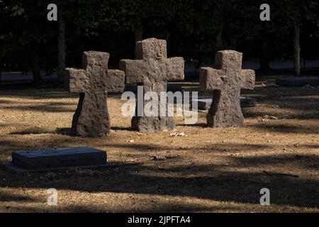 LANGEMARK, BELGIO - 10 AGOSTO 2022: Croci di tono e lapidi piatti nel cimitero tedesco Foto Stock