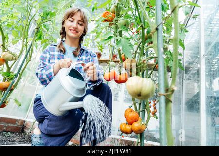 Giovane donna che annaffia pomodori in casa verde utilizzando un annaffiatoio. Vegetali biologici crescenti nel giardino. Stile di vita di Cottagecore. Il concetto di foo Foto Stock