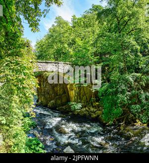 Una vista sul Ponte Jungfern sul Bode sulle montagne Harz in estate Foto Stock