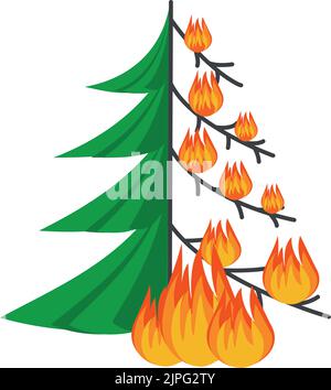 Bruciare gli spruces della foresta nelle fiamme di fuoco, illustrazione di concetto di disastro della natura, pericolo del manifesto, attento con gli incendi nei boschi, isolato Illustrazione Vettoriale