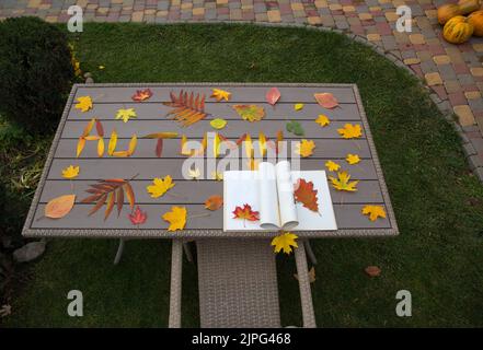 bello luminoso colorato autunno multicolore foglie da diversi alberi e libro aperto su un tavolo in giardino. Umore autunnale. Ciao, autunno. Herbari Foto Stock