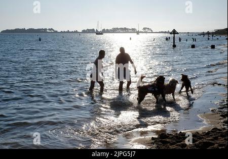 persone in mare con cani a pozzi-vicino-il-mare, norfolk settentrionale, inghilterra Foto Stock