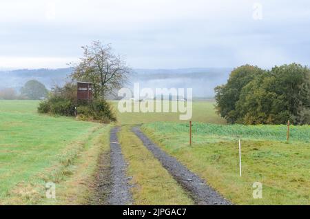 Strada agricola e sentiero escursionistico nella campagna nella zona di Westerwald in Renania-Palatinato, Germania Foto Stock