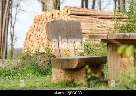 Panca in legno con tavolo da picnic lungo un sentiero escursionistico nella campagna della regione di Westerwald, Renania-Palatinato, Germania, Europa Foto Stock