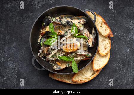 Cozze in salsa di panna con crostini in padella su cemento grigio Foto Stock