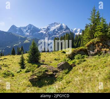 le alpi Bernesi con le cime di Jungfrau, Monch e Eiger sui prati delle alpi. Foto Stock