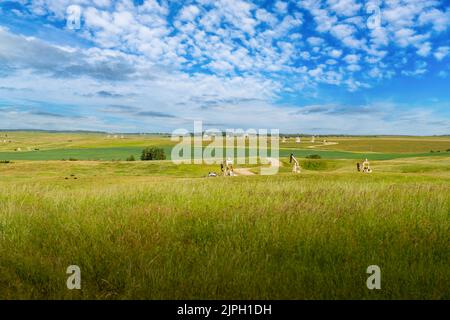 Campo di diversi martinetti pompa che lavorano su praterie canadesi praterie come parte dell'industria del petrolio e del gas in Rocky View County Alberta Canada. Foto Stock