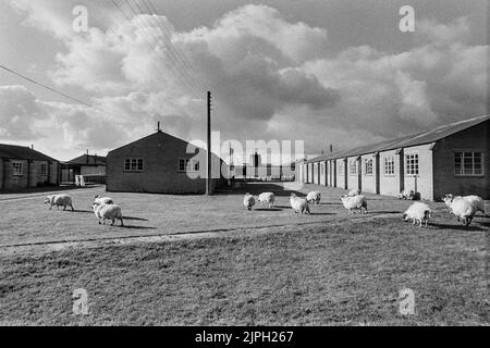 Plasterdown Camp Dartmoor Devon dove i rifugiati ugandesi asiatici sono stati ospitati 1972 Foto Stock