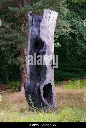 Un ceppo di albero bruciato nel Derbyshire che mostra texture contrastanti nel nero di legno charred. Foto Stock