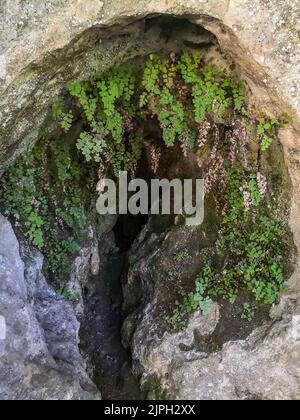 (C) Denis TRASFI / MAXPPP - à Tursac le 12-08-2022 - Château de Marzac, le Premier Chateau-fuga gioco géant dans un décor sauvage et mystérieux et sa Foto Stock