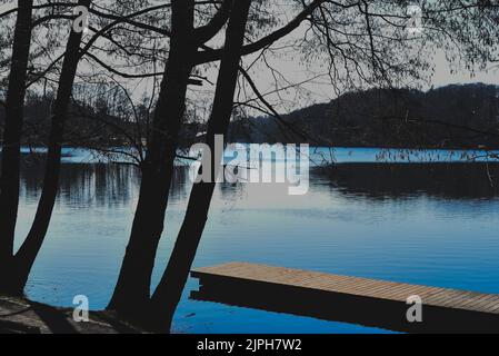 Un affascinante colpo di un lago blu in una foresta durante il giorno Foto Stock