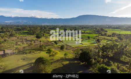 Vista aerea dei campi di riso, Aceh, Indonesia. Foto Stock