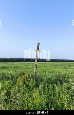 Una vecchia croce di legno in un campo, un campo con un raccolto di grano e una croce religiosa di legno Foto Stock