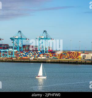 Una barca a vela di prima mattina che passa i container in attesa di trasbordo sul molo nel porto di Zeebrugge, Belgio Foto Stock